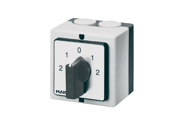 WP 2 IM0009760.PNG Commutateur-inverseur de polarité pour installation apparente, pour moteurs à enroulements séparés